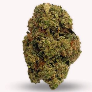 Doc 15 (Indica)