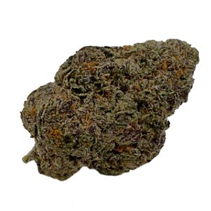 Gello Shotz (Sativa)