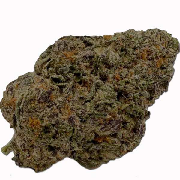 Gello Shotz (Sativa)