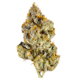 Lemon Cherry Gelato (Hybrid)