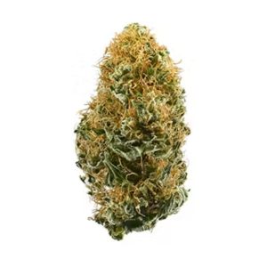 White Widow (Hybrid)
