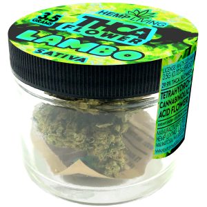 Lambo (Sativa)