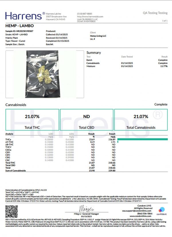 Lambo (Sativa) - Image 4
