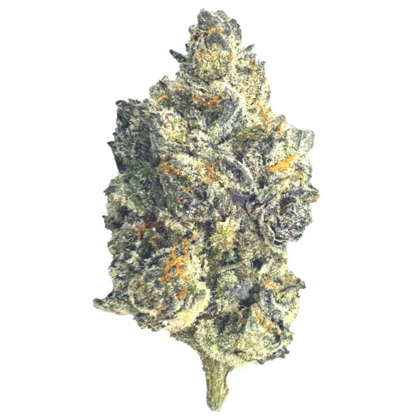 Oreoz (Hybrid) - Image 3