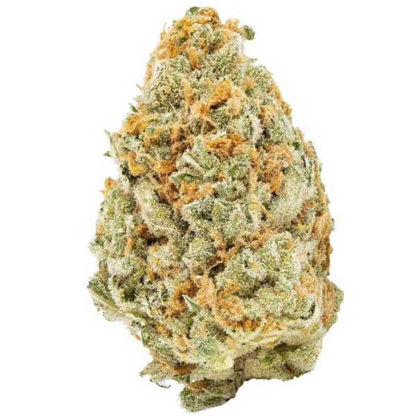Strawberry Guava (Hybrid) - Image 3